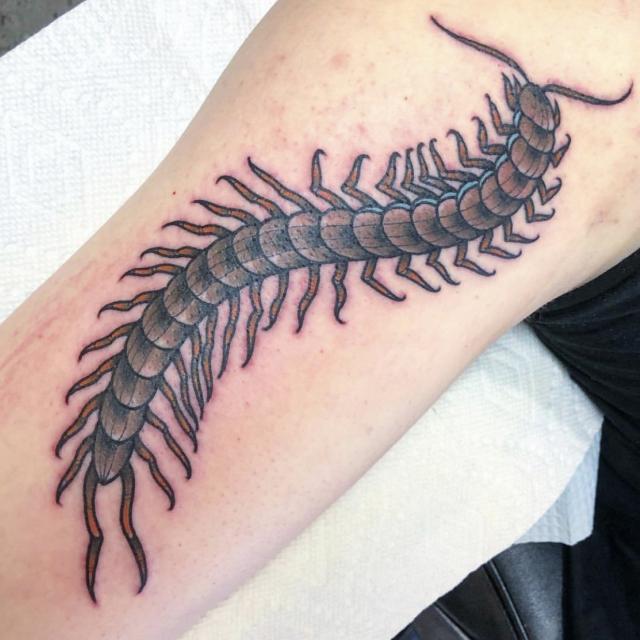 centipede, centipede tattoo, american traditional, color